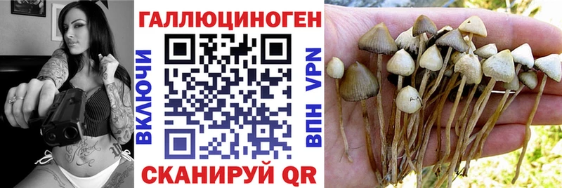 Псилоцибиновые грибы MAGIC MUSHROOMS  OMG зеркало  Ишим 