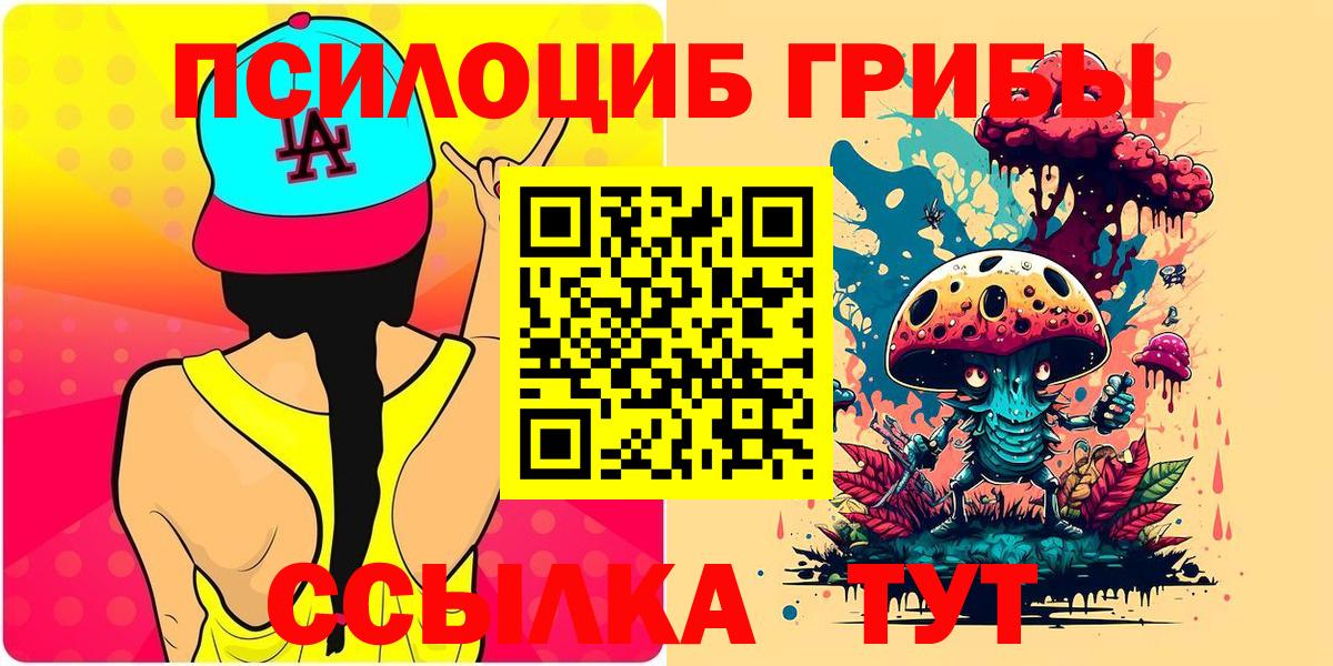 Псилоцибиновые грибы Psilocybe Ишим