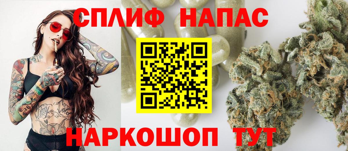 МАРИХУАНА сатива Ишим